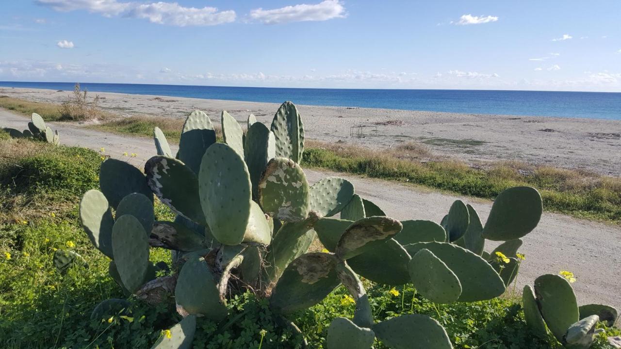 Magna Grecia B&B E Appartamenti Caulonia Marina Bagian luar foto
